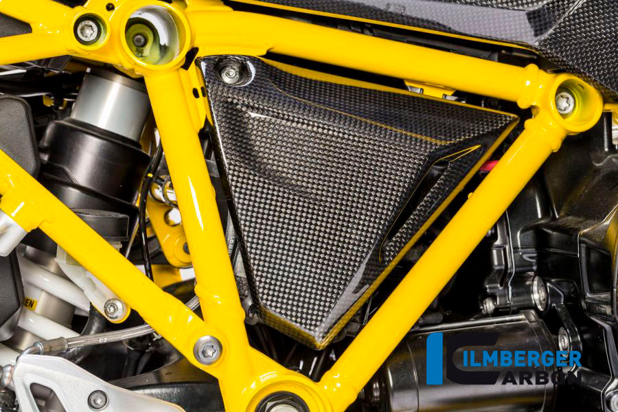 Frame triangle cover right Carbon