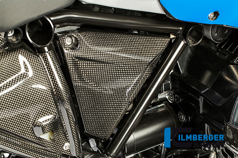 Frame triangle cover right Carbon