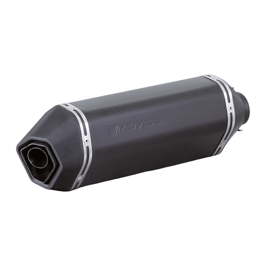 sportexhaust with removable sound insert
