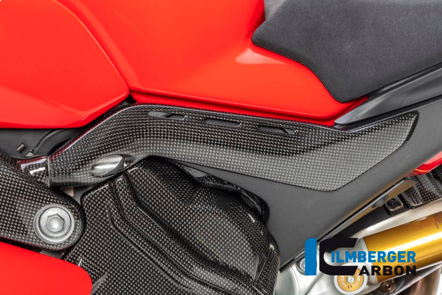 Sub Frame protector left Panigale V4 / V4 S