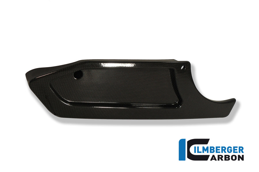 Belt cover and swingarm R/CR Carbon