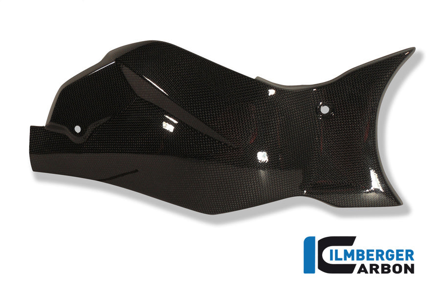 Swingarm Cover / Chain Guard Carbon