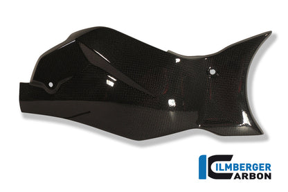 Swingarm Cover / Chain Guard Carbon