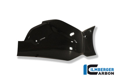 Swingarm Cover / Chain Guard Carbon