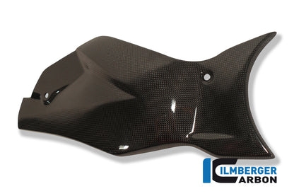 Swingarm Cover / Chain Guard Carbon