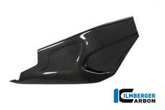 Swing arm cover right side BMW HP4 RACE
