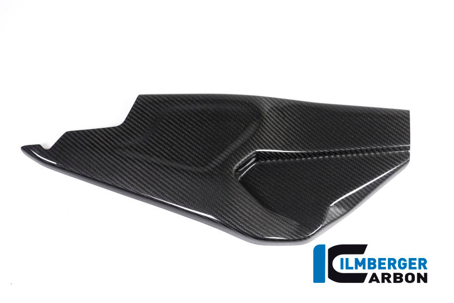 Swing arm cover right side BMW HP4 RACE