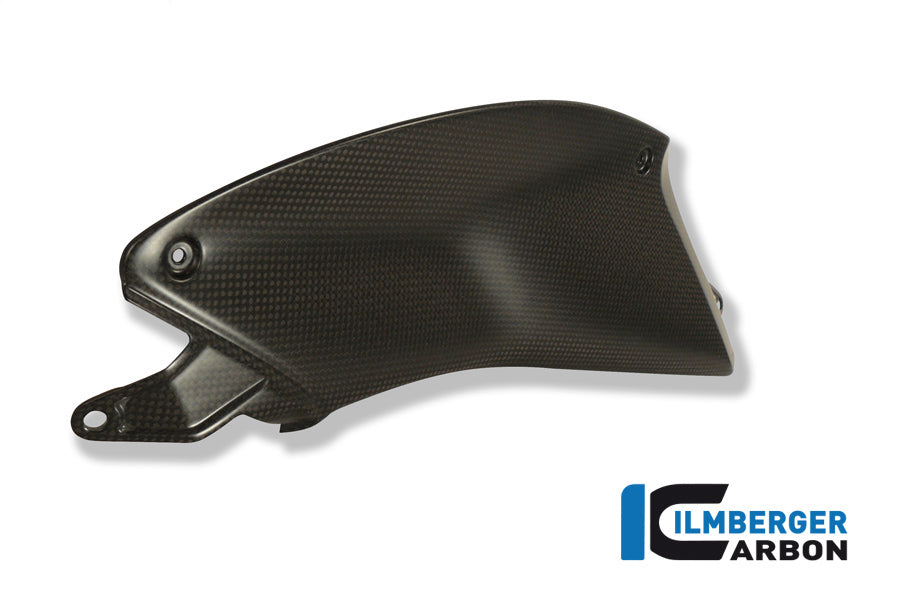 Side cover on the tank left carbon