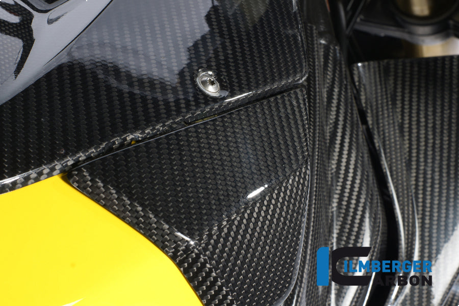 Left side cover on the tank carbon