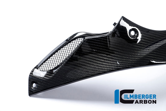 Left side cover on the tank Racing BMW S 1000 RR (ab 2015)