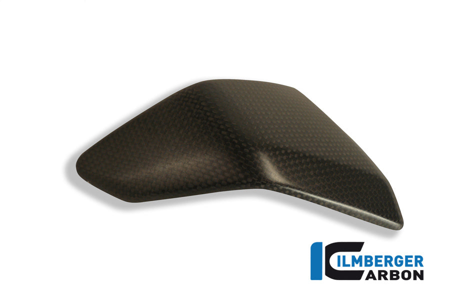 Left side fairing insert carbon