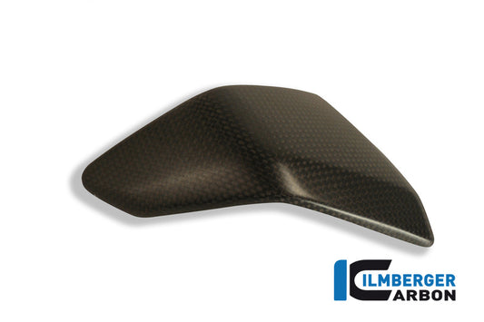 Left side fairing insert Ducati 1199 Panigale Straße
