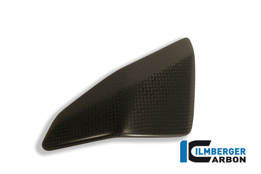 Right side fairing insert carbon
