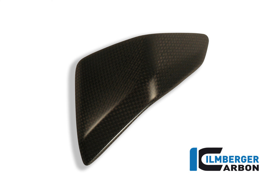 Right side fairing insert carbon