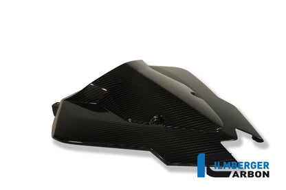 Rear fairing street (single-seater) carbon