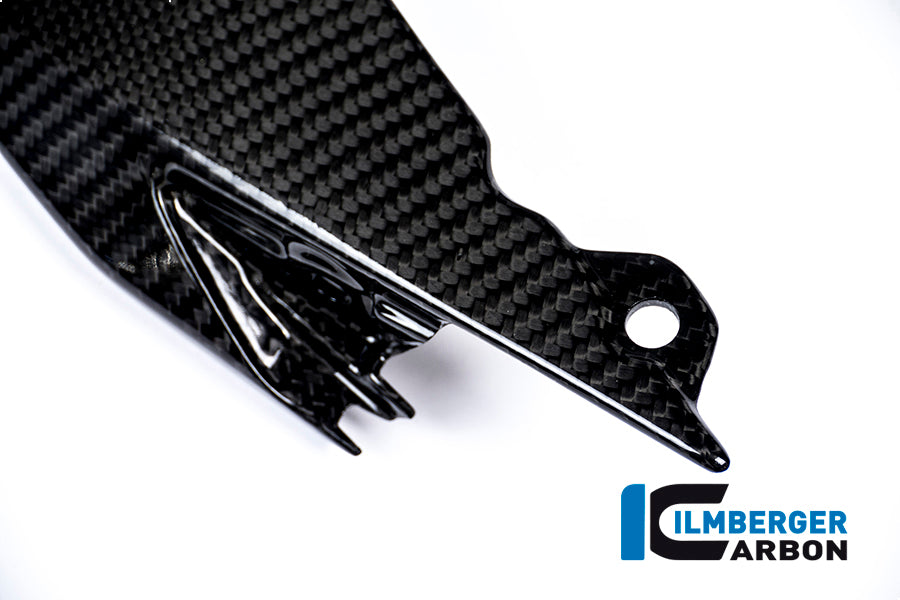 Rear upper tail fairing (taillight cover) Carbon