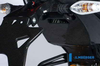 Lower frame tail cover carbon
