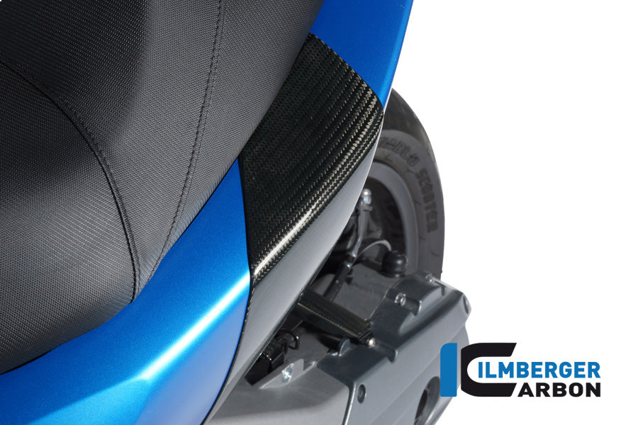 Rear crash pad (2pcs) C600 Sport