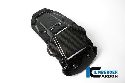 Backplate on license plate holder BMW S1000XR Bj 2015-2019