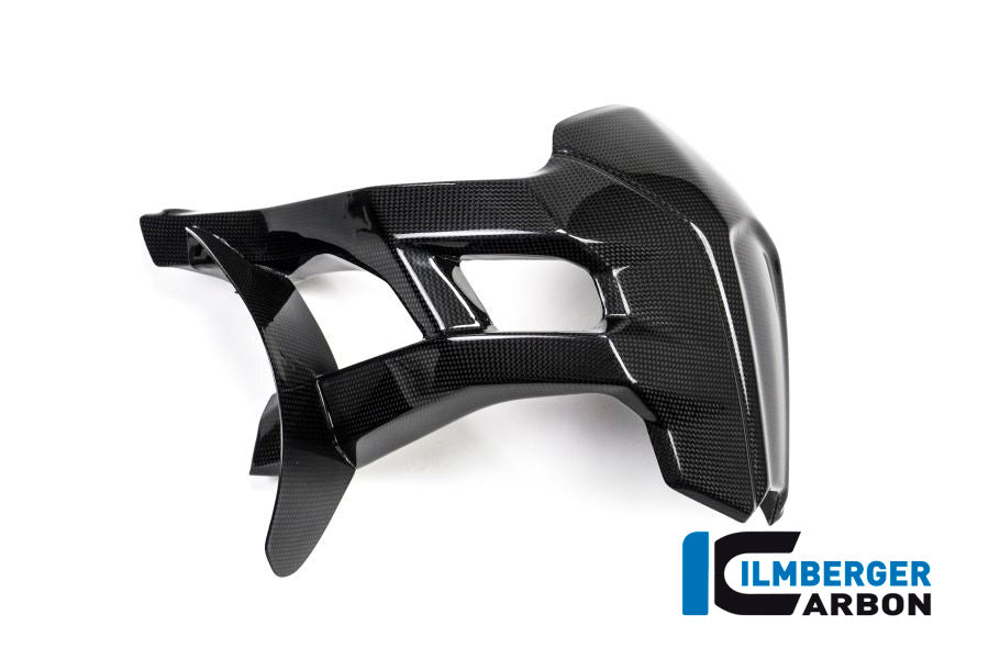 Rear splash guard surface Ducati MTS 1200'15