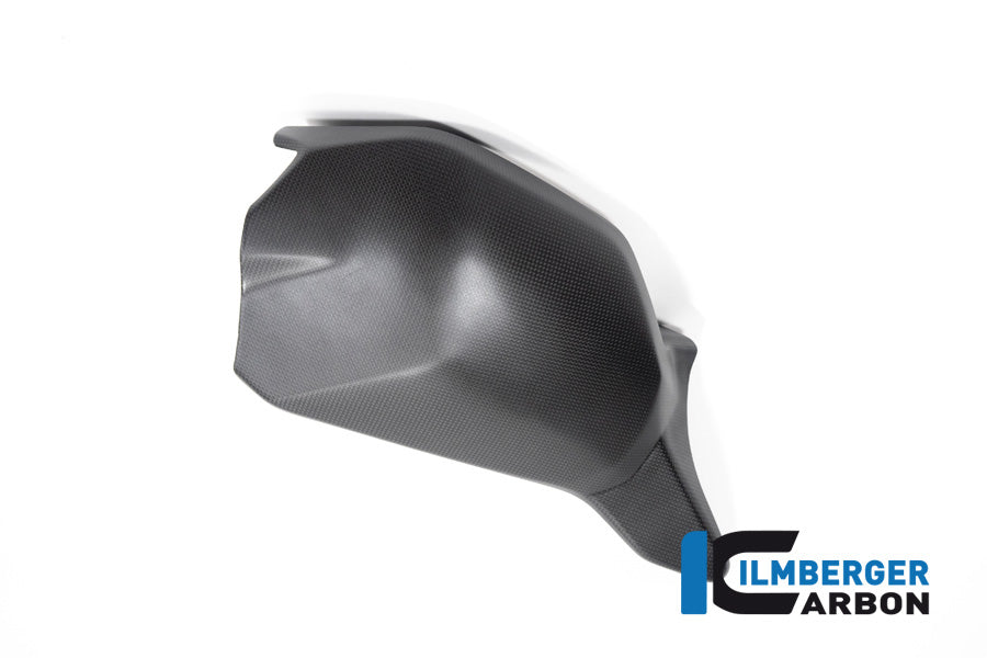 Swing Arm Cover matt V4 Streetfighter