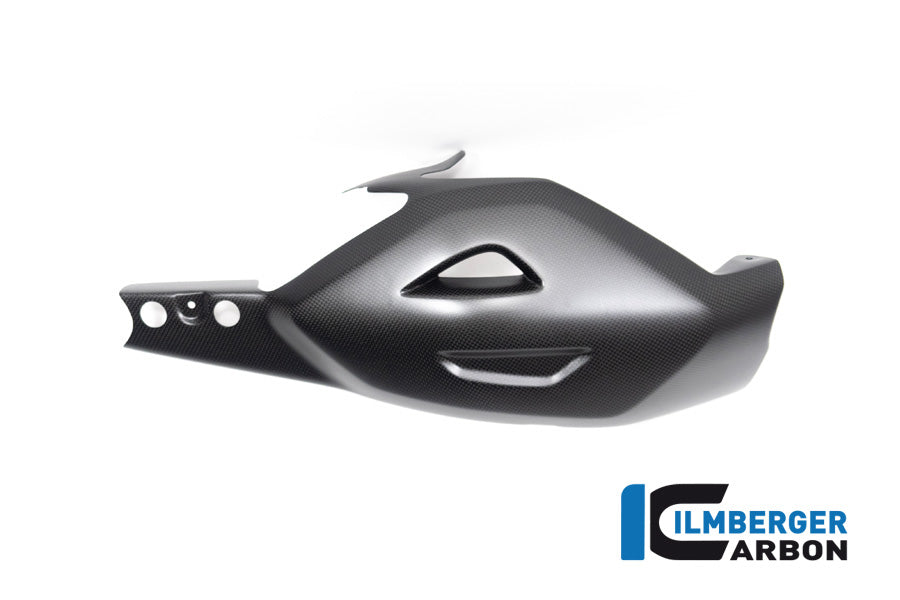 Swing arm cover Ducati Diavel V4 from 2023 matt