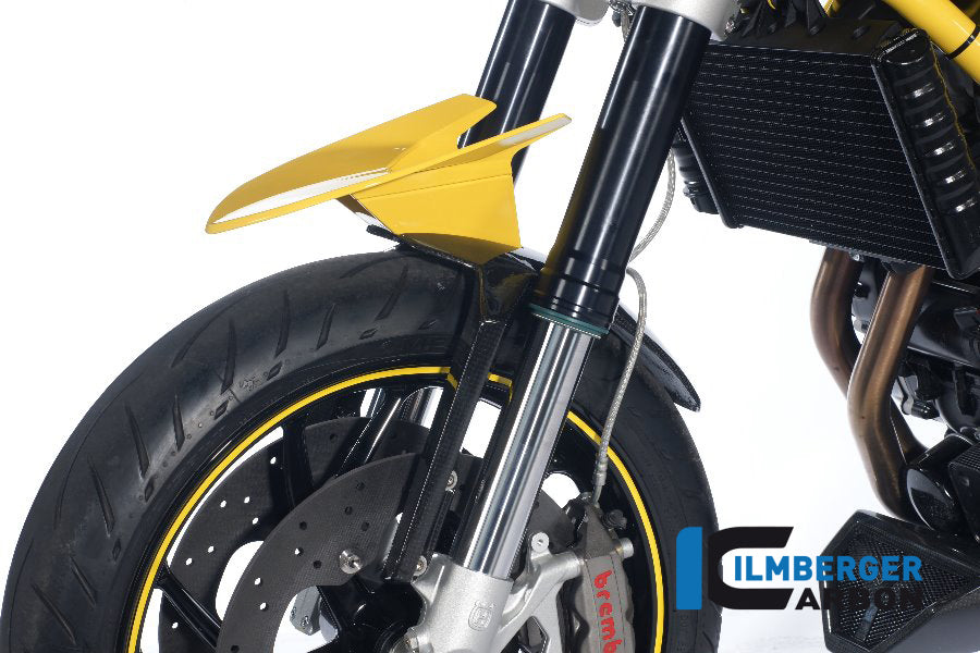 Front fender (fork tube cover right and left) Carbon