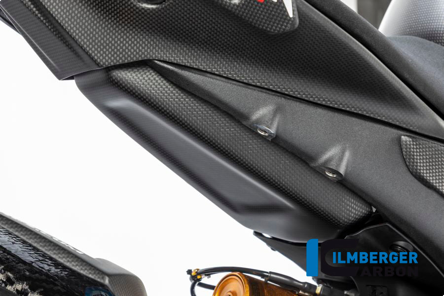 Tank protection Panigale V4 Racing