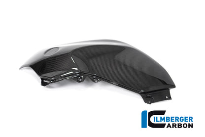 Tank Panel left BMW R 1250 R
