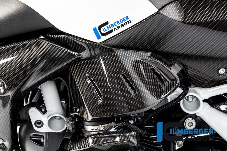 Side Panel under the Tank left BMW R 1250 R