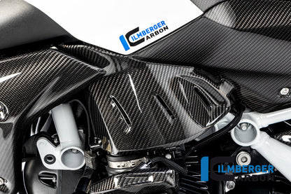 Side Panel under the Tank left BMW R 1250 R