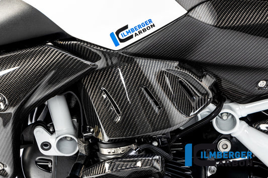 Side Panel under the Tank left BMW R 1250 R