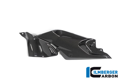 Side Panel under the Tank left BMW R 1250 R