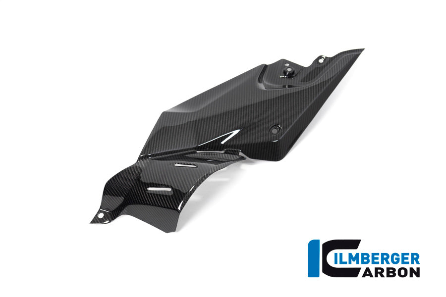 Side Panel under the Tank left BMW R 1250 R