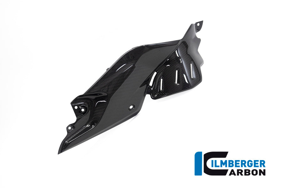 Side Panel under the Tank right BMW R 1250 R