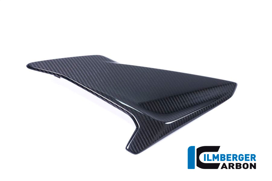 FAIRING SIDE PANEL (LEFT) - BMW S 1000 RR (ab 2017)