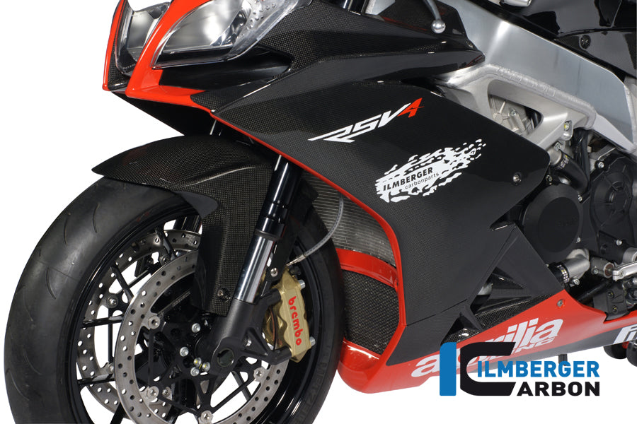 Fairing side panel left carbon