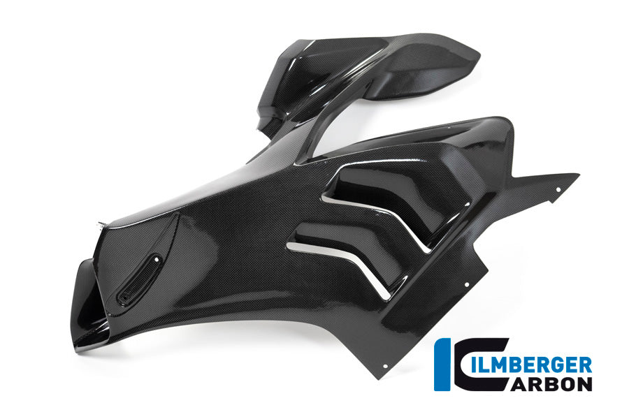 Fairing side panel left Panigale V4 R Racing 2019