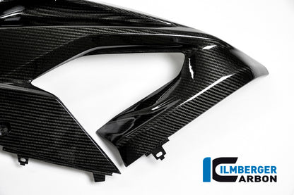Fairing Side Panel Left Carbon