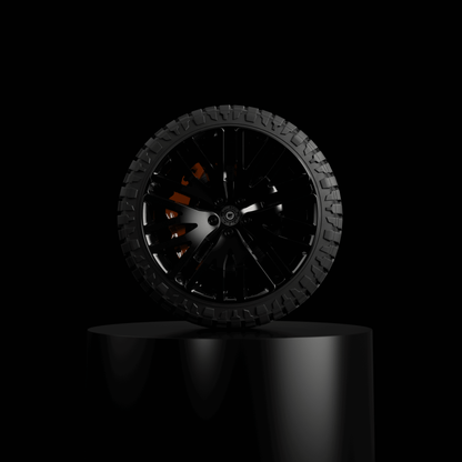 Heritage Customs Black Crow
