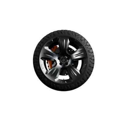 Heritage Customs Space Cowboy 22” Gun metal