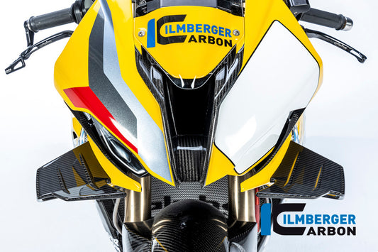 Front Fairing (one piece) Carbon - BMW M 1000 RR Racing (from 2021)