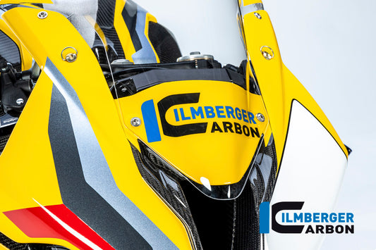 Front Fairing (one piece) - BMW M 1000 RR Racing (from 2021)