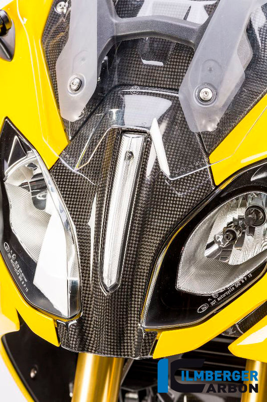 Verkleidungsmitterteil oben BMW R1200RS'15
