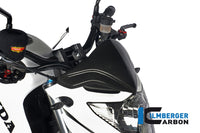 Windshield Carbon
