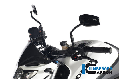 Windshield Carbon