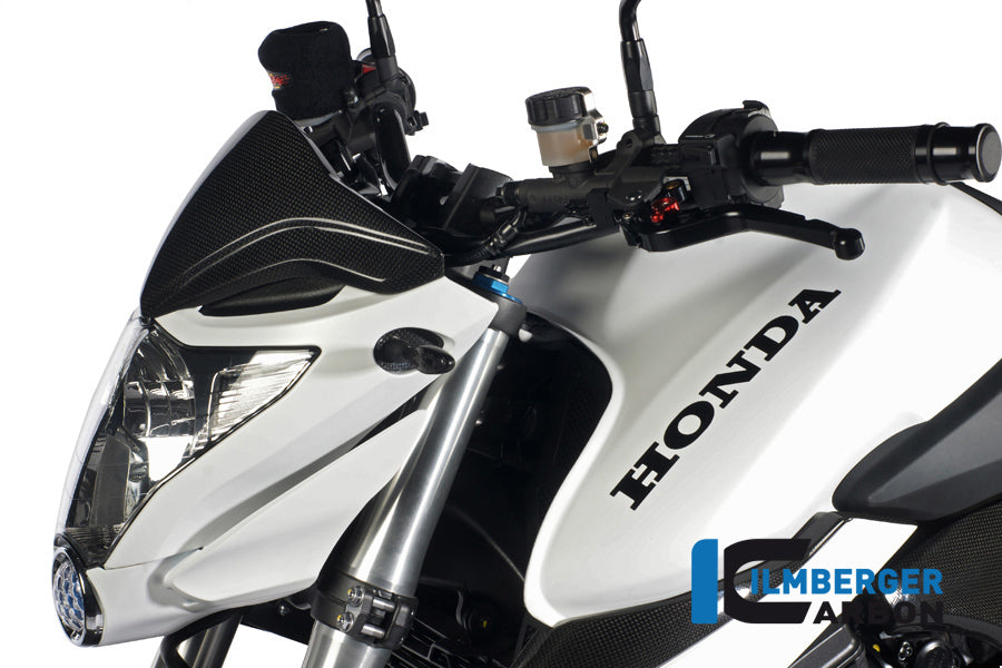 Windshield Carbon