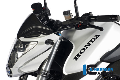 Windshield Carbon