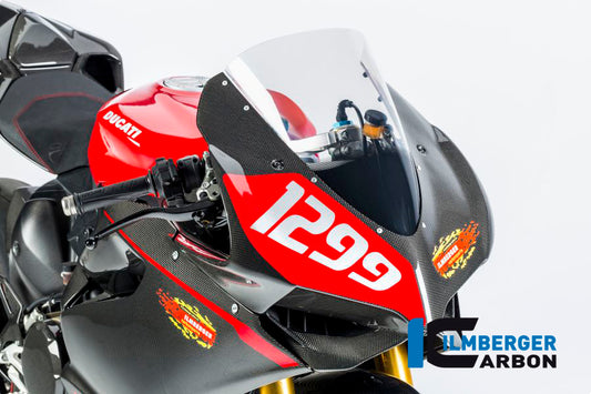 Real Surface Duc Panigale Rac 2-piece Ducati 1199 Panigale Racing