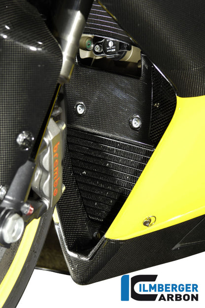 Fairing Insert Carbon